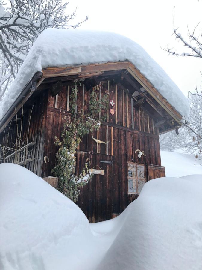 Le Pika Bed & Breakfast Hauteluce Exterior foto