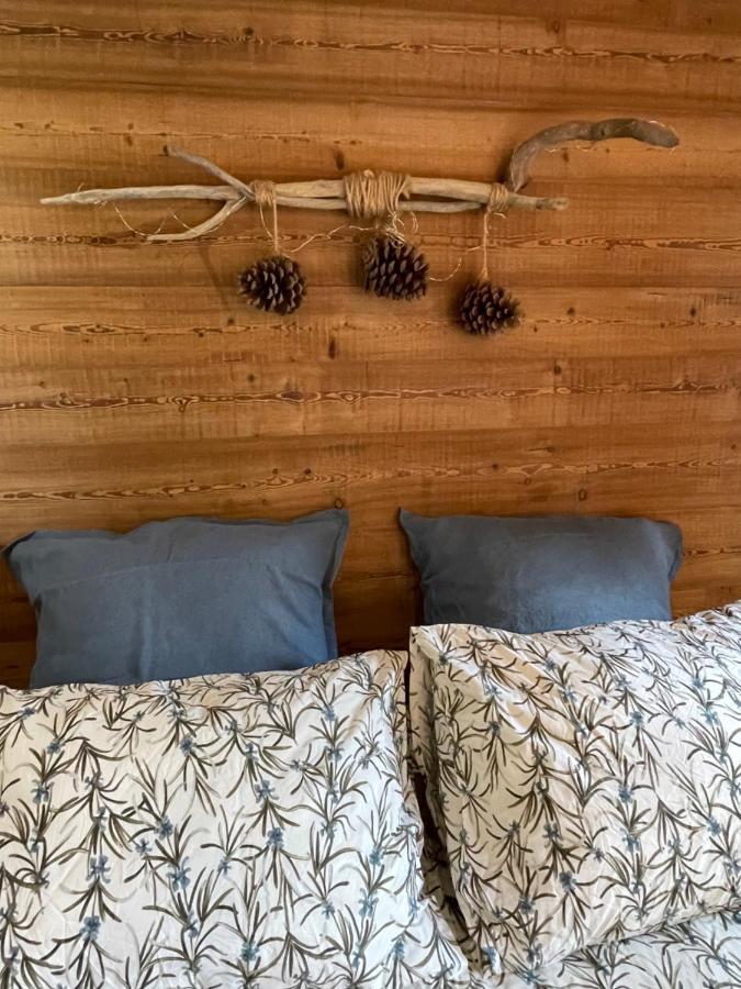 Le Pika Bed & Breakfast Hauteluce Exterior foto