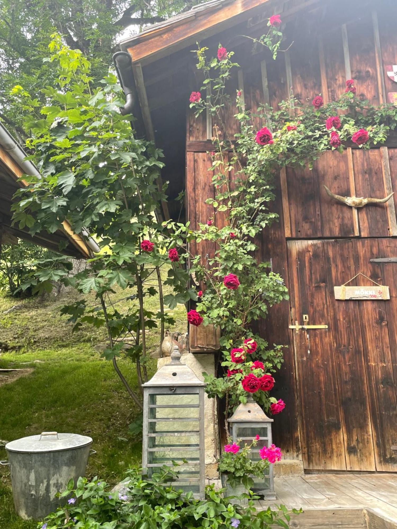 Le Pika Bed & Breakfast Hauteluce Exterior foto
